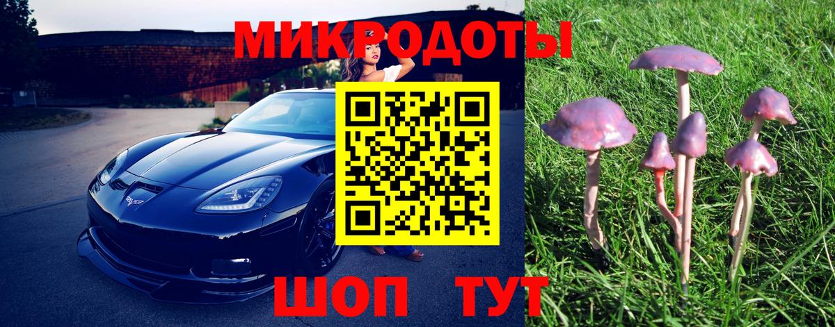 как найти   Галлюциногенные грибы мицелий  Галлюциногенные грибы GOLDEN TEACHER  Вход с VPN  Кулебаки 