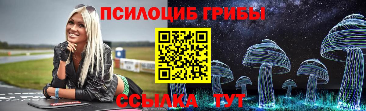 Галлюциногенные грибы MAGIC MUSHROOMS Кулебаки